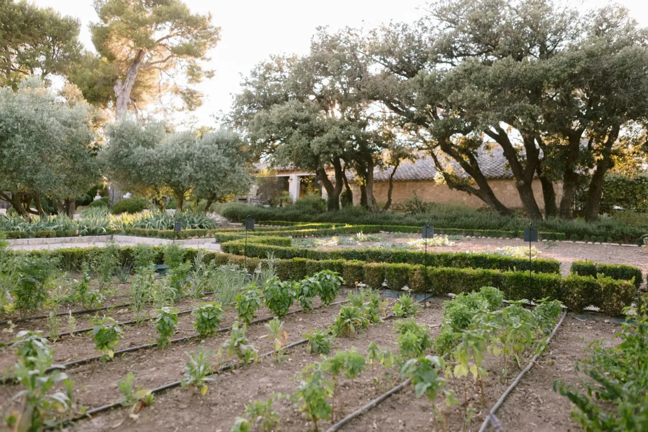 Beau jardin potager avec arbres et buissons. Mas Luberon